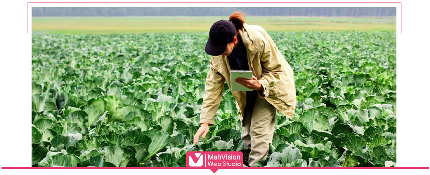 پشتیبانی سایت کشاورزی مه ویژن پشتیبانی سایت کشاورزی مه ویژن