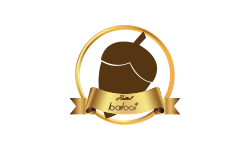 طراحی سایت اختصاصی مجموعه تفریحی اقامتی بلوط