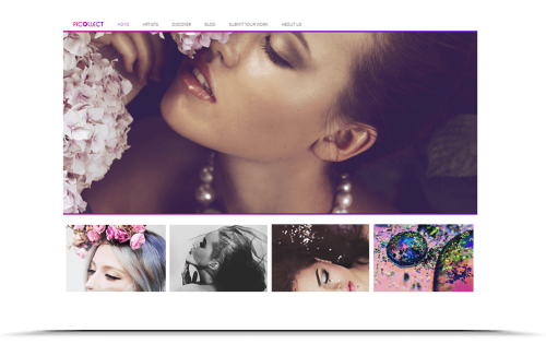 طراحی وب سایت گالری عکس Picollect 